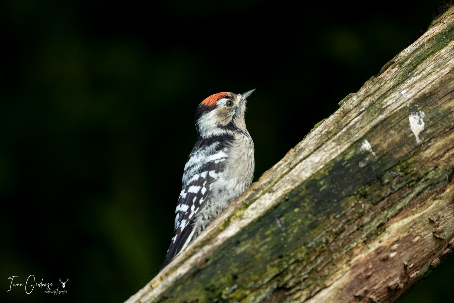 13 augustus 2023 104045  R2A5556